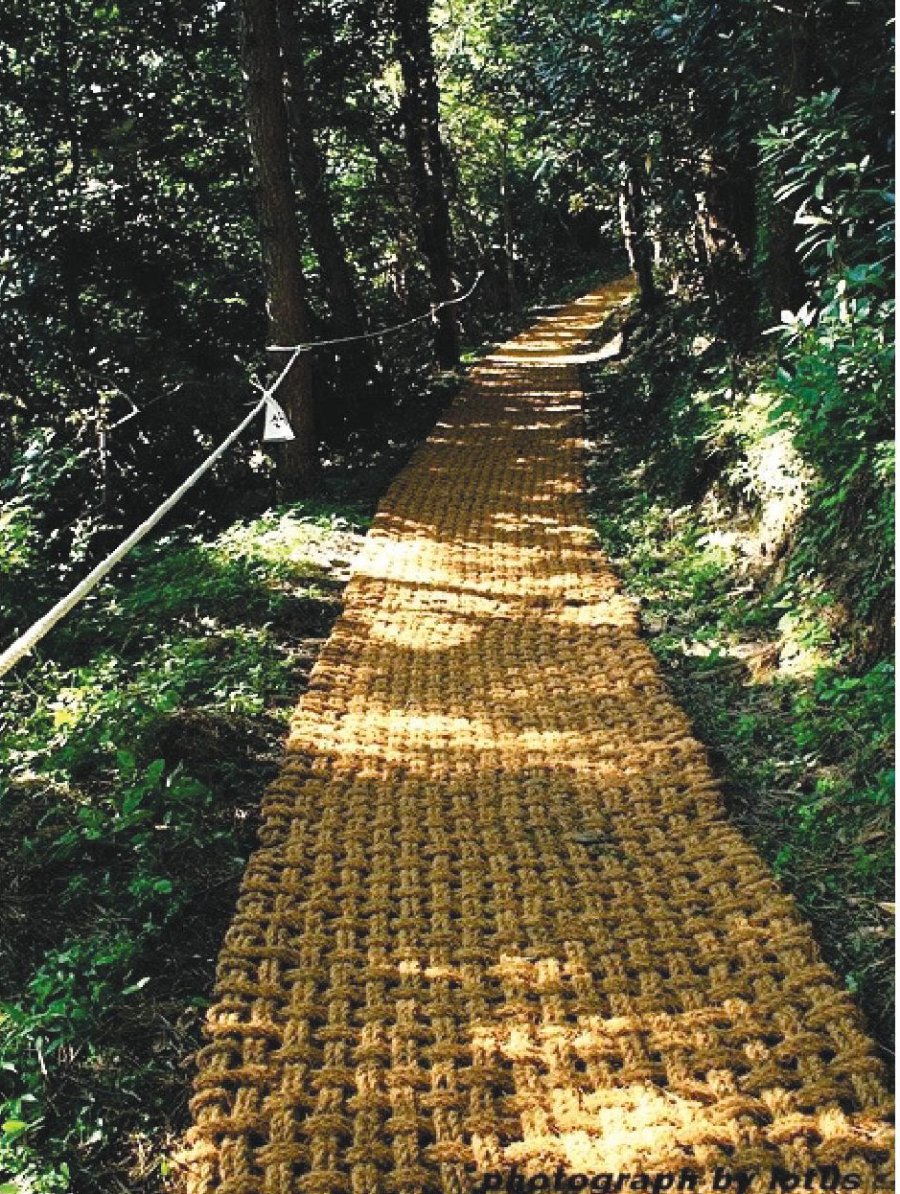 보행매트